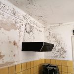 foto: ter illustratie